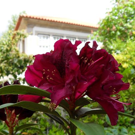 Quinta Do Bento Novo - Casa De Campo - Turismo Rural Viana do Castelo Buitenkant foto