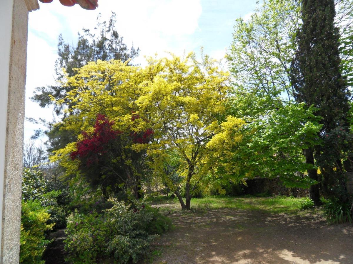 Quinta Do Bento Novo - Casa De Campo - Turismo Rural Viana do Castelo Buitenkant foto