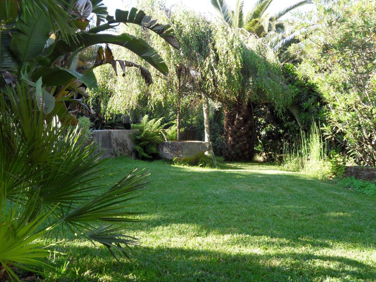 Quinta Do Bento Novo - Casa De Campo - Turismo Rural Viana do Castelo Buitenkant foto